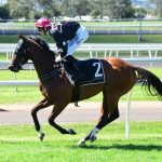 Race Horse Syndication Sydney
